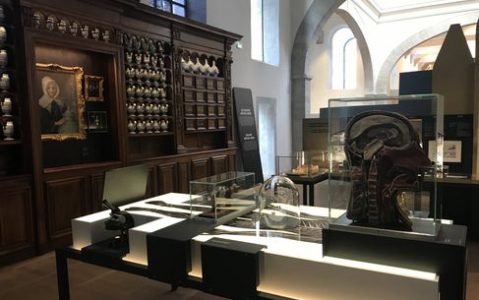 Cité de la gastronomie - apothicairerie