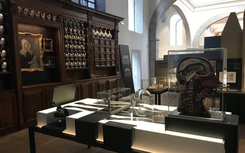 Cité de la gastronomie - apothicairerie