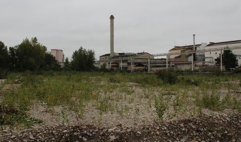 foncier-elkem