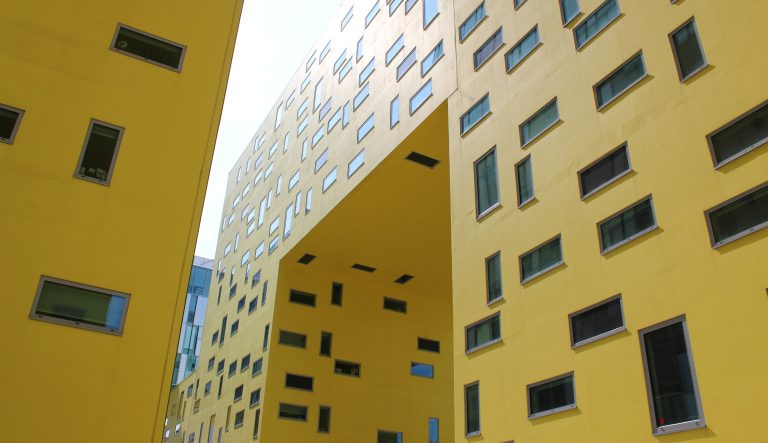 ineaSaintEtienne