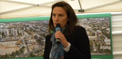 laurefavier