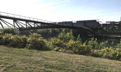 passerelle-de-la-paix2