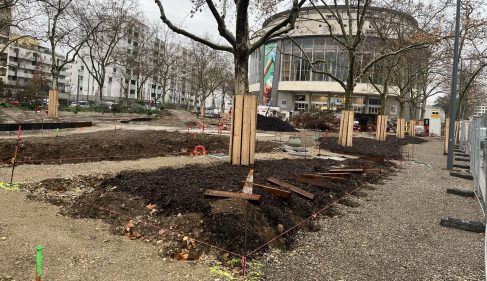 place-bachut-travaux-maison-danse